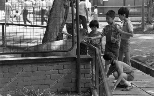 KL02_15012015_ZOO_NEGARA