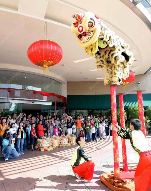 TARIAN SINGA DI HOTEL CITITEL