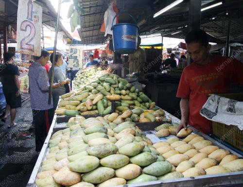 BUAH MANGGA