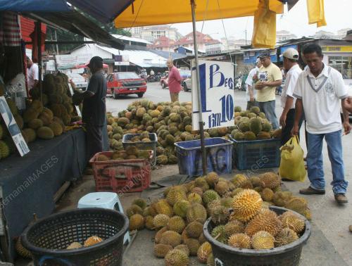 DURIAN