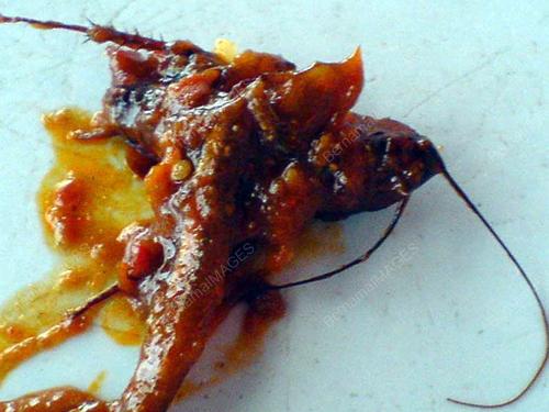 PENGGUNA-MAKANAN