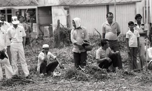 MUSA HITAM