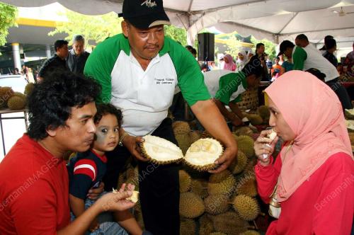 JOM MAKAN DURIAN