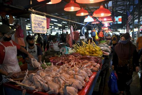 HARGA AYAM