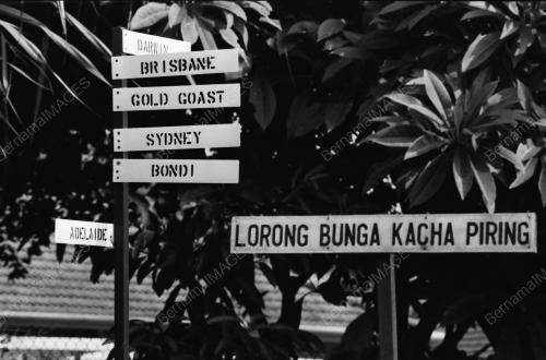 PAPAN TANDA