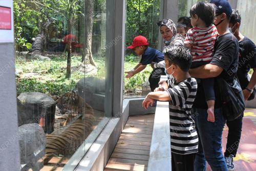 TINJAUAN ZOO NEGARA