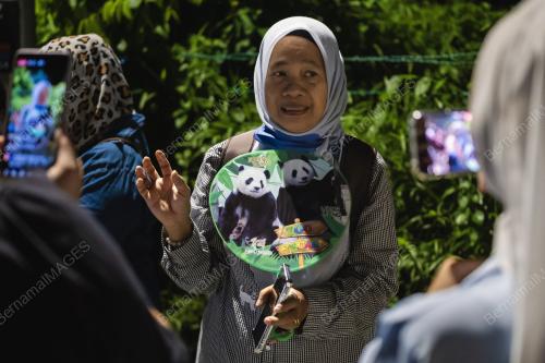 PENGHANTARAN PULANG PASANGAN PANDA GERGASI, FU WA DAN FENG