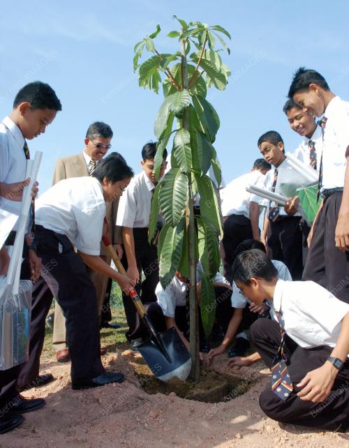 POKOK UNTUK KEHIDUPAN