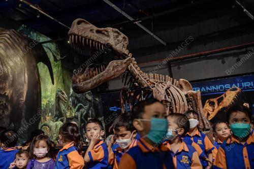 TUKANG JAHIT DINOSAUR DI PAMERAN DINOSAUR ENCOUNTER PUSAT SAINS