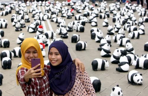 KL02_21122014_PANDA