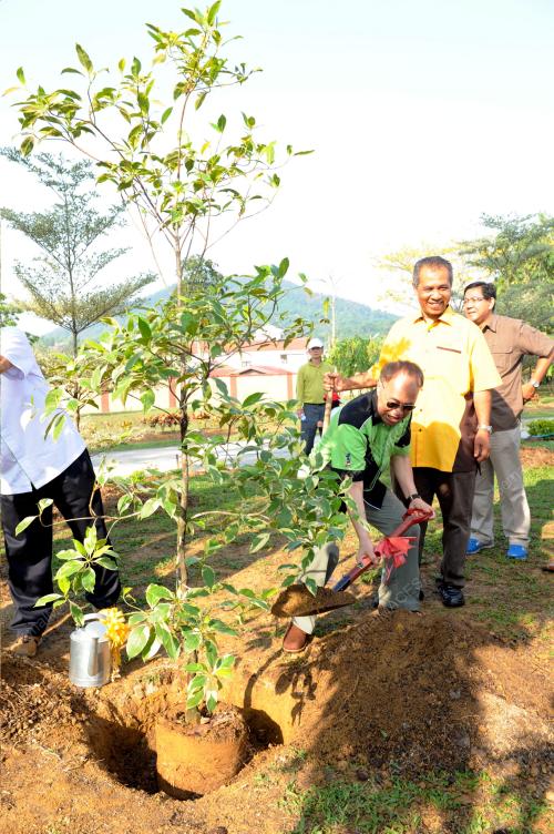 KL02_22032014_DR_JAMES_POKOK