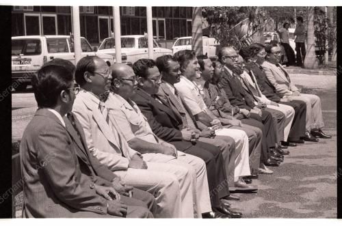 MUSA HITAM