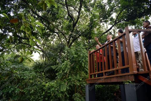 KL02_22062019_TANAM_BN201906202717