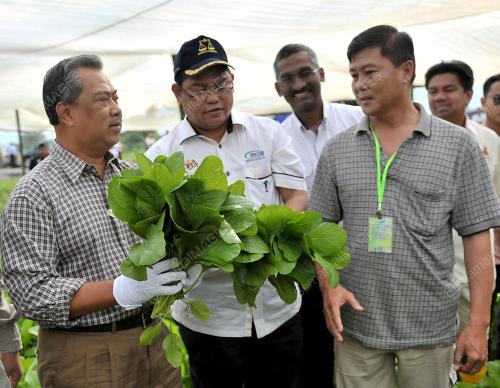 TAN SRI MUHYIDDIN YASSIN