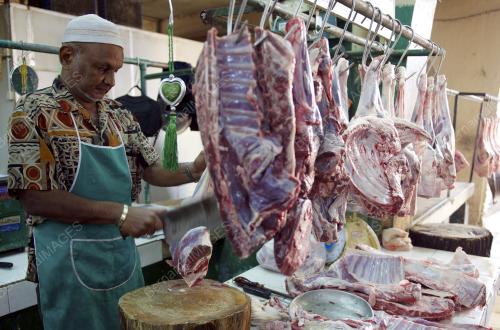 KL02_24122015_KAMBING