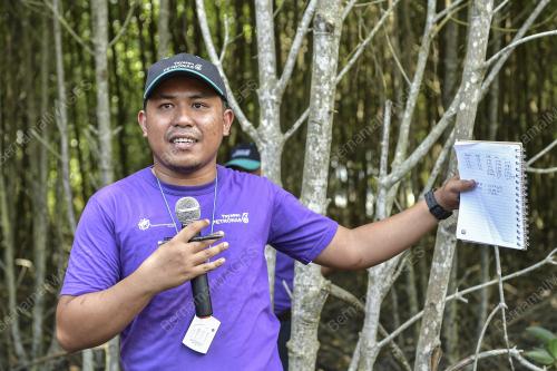 TANAMAN POKOK BAKAU KOMUNITI