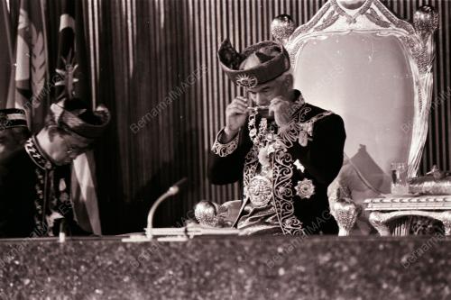 YANG DI-PERTUAN AGONG