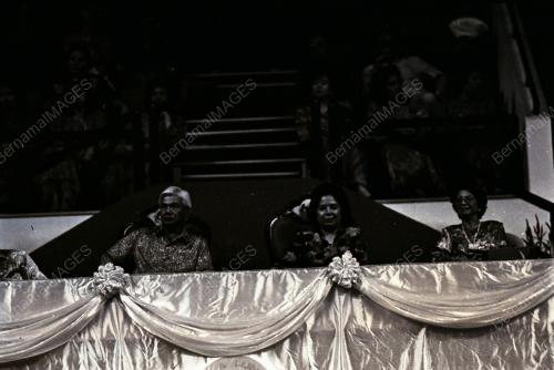 YANG DI-PERTUAN AGONG