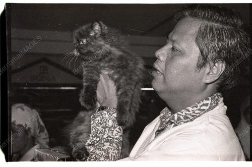 PERTANDINGAN KUCING
