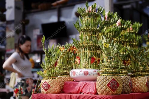 KL02_27012019_BUNGA_CNY