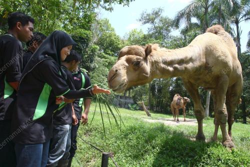 KL02_27022011_UNTA