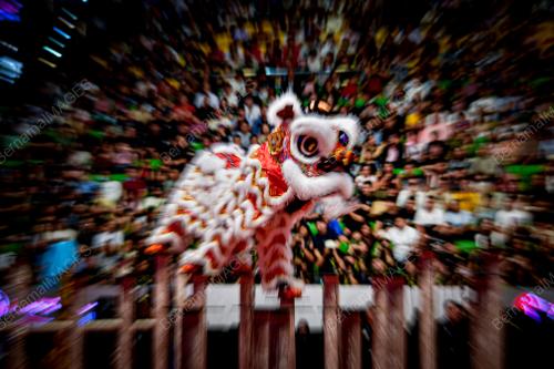 THE 15TH GENTING WORLD LION DANCE CHAMPIONSHIP