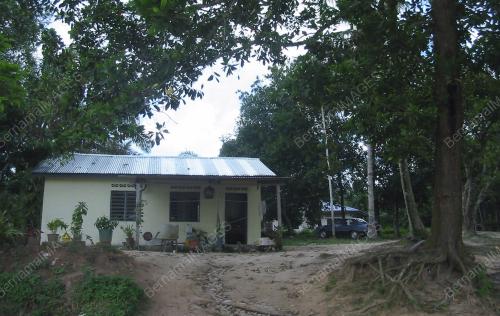 ORANG ASLI