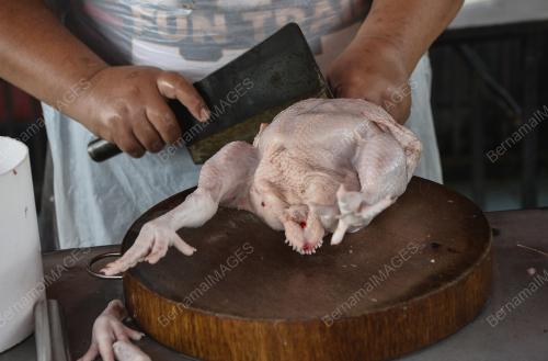 TINJAUAN BEKALAN AYAM MENTAH