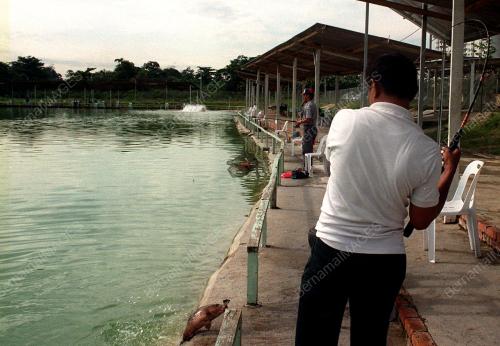 KOLAM MEMANCING KOMERSIAL