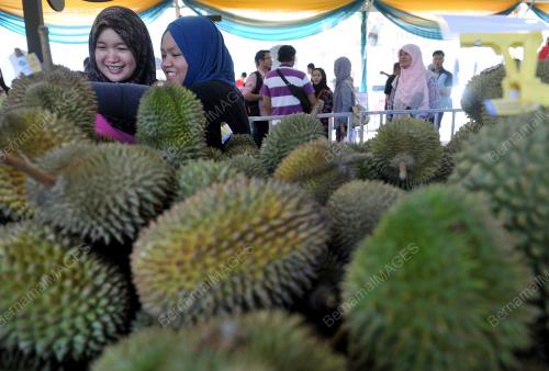 KL02_30072016_DURIAN