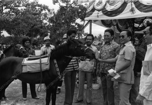 Pergerakan Kuda Bajau