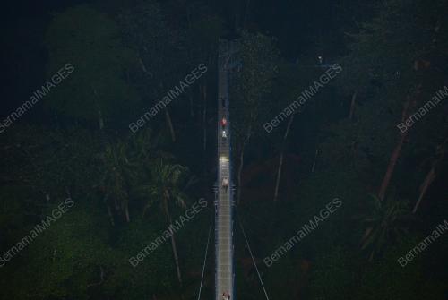 FOREST SKYWALK NIGHT