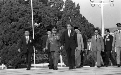 KL02_90583_MARASORU_KALONGAN_BUNGA_13012015