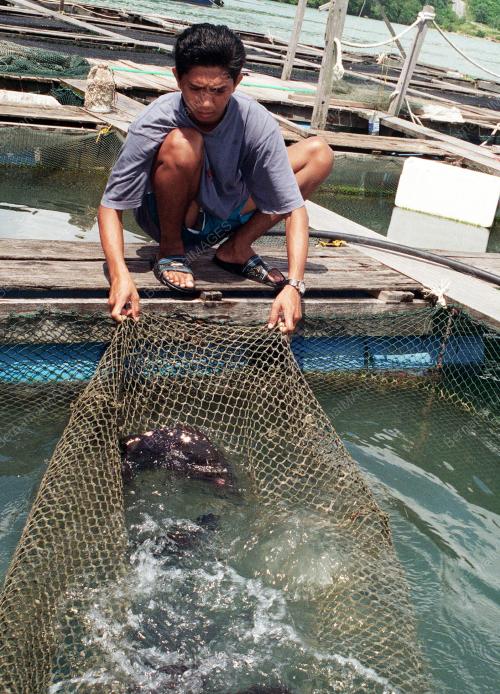KL03-06_10_2000_IKAN_SANGKAR_14012016