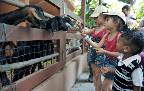 ZOO NEGARA
