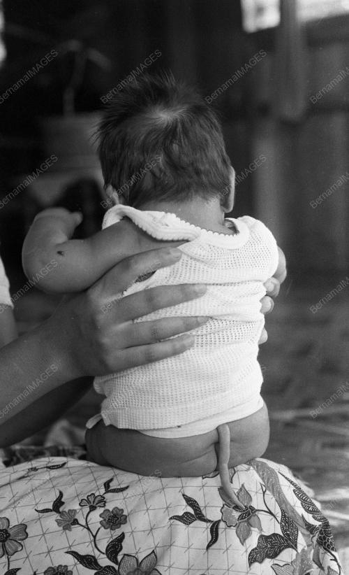 KL03_02032015_BAYI_BEREKOR