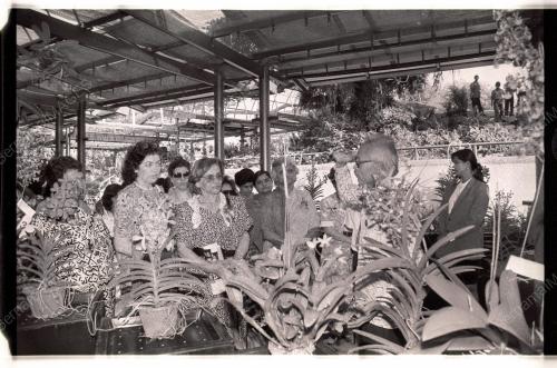 ISTERI G15