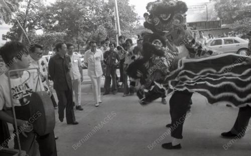 MUSA HITAM