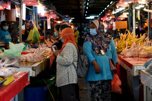 TINJAUAN PELITUP MUKA