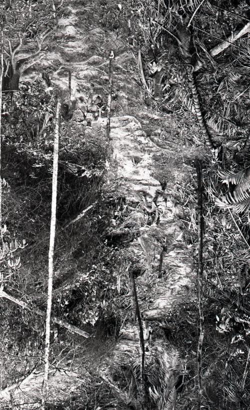MERENTAS HALANGAN