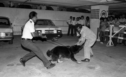 DEMONSTRASI ANJING