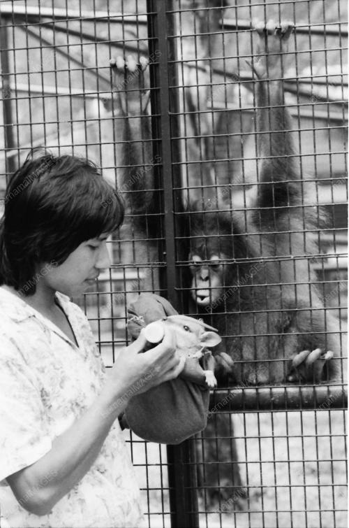 ZOO NEGARA