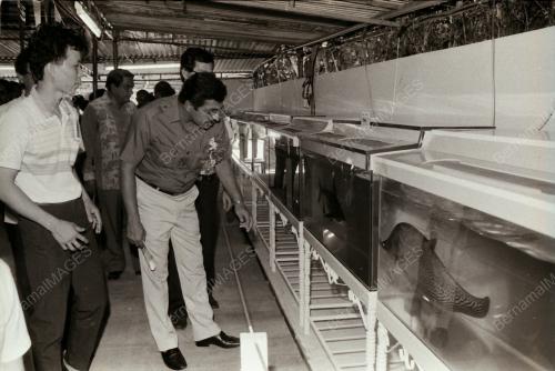 DATUK S. SUBRAMANIAM