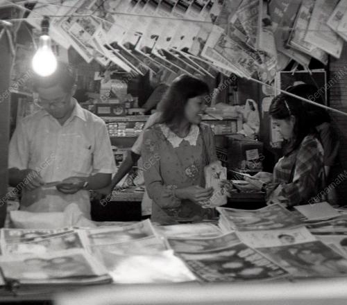 TAHUN BARU CINA