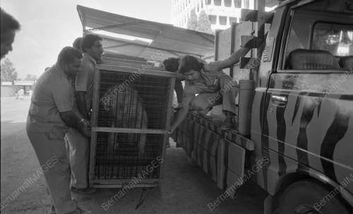 KL03_09032015_HAIWAN
