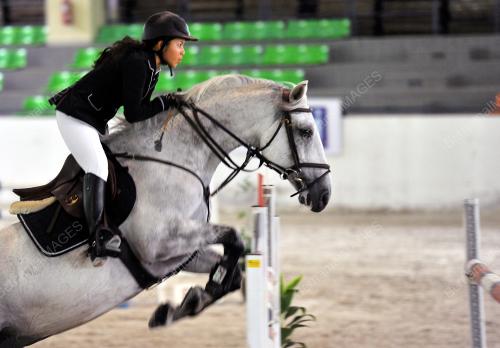 KL03_10052015_EQUESTRIAN
