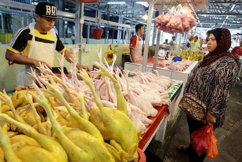 KL03_10072016_AYAM
