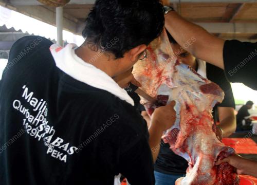 KORBAN DI SYABAS