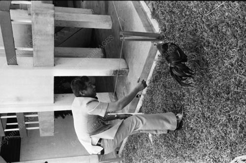 AYAM LAGA