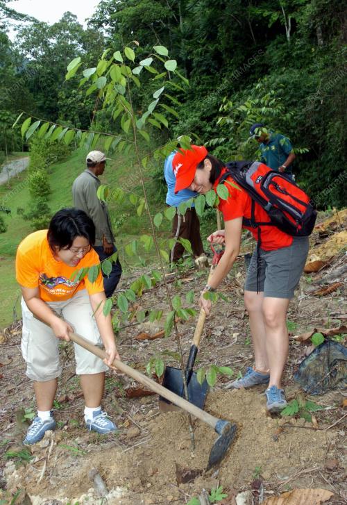FRIM-BAT PROGRAM PENANAMAN POKOK